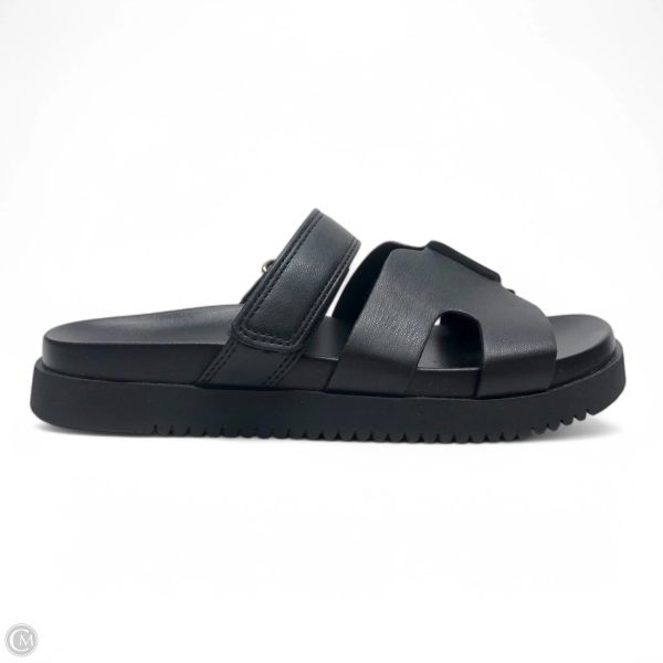 Sandals Flats By Wild Fable In Black, Size: 6 For Discount
